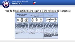 Tipo de división del citoplasma según la forma y número de células hijas
 