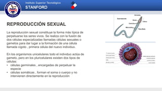 REPRODUCCIÓN SEXUAL
La reproducción sexual constituye la forma más típica de
perpetuarse los seres vivos. Se realiza con la fusión de
dos células especializadas llamadas células sexuales o
gametos para dar lugar a la formación de una célula
llamada cigoto , primera célula del nuevo individuo.
En los organismos unicelulares todo el individuo actúa de
gameto, pero en los pluricelulares existen dos tipos de
células:
• células germinales , encargadas de perpetuar la
especie
• células somáticas , forman el soma o cuerpo y no
intervienen directamente en la reproducción
 