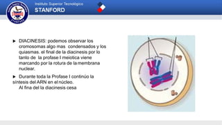  DIACINESIS: podemos observar los
cromosomas algo mas condensados y los
quiasmas. el final de la diacinesis por lo
tanto de la profase I meiotica viene
marcando por la rotura de la membrana
nuclear.
 Durante toda la Profase I continúo la
síntesis del ARN en el núcleo.
Al fina del la diacinesis cesa
 