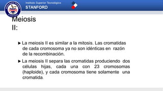 Meiosis
II:
 La meiosis II es similar a la mitosis. Las cromatidas
de cada cromosoma ya no son idénticas en razón
de la recombinación.
 La meiosis II separa las cromatidas produciendo dos
células hijas, cada una con 23 cromosomas
(haploide), y cada cromosoma tiene solamente una
cromatida.
 