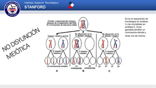 Es la no separación de
homólogos en anafase
I o de cromátides en
anafase II. Unas
gametas tendrán un
cromosoma demás y
otras uno de menos.
 