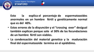 Esto la explica el porcentaje de espermatozoides
anormales en un hombre fértil y genéticamente normal
que es del 40%.
• Estos errores de la disyunción y el “crossing over” desigual
también explican porque solo el 30% de las fecundaciones
de un hombre fértil son viables.
• La condensación del material genetico y la maduración
final del espermatozoide termina en el epidídimo.
 