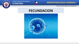 FECUNDACION
Carrera: Técnico Superior en Enfermería
MORFOFISIOLOGIA HUMANA I
 