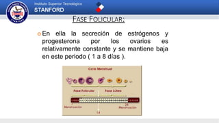 FASE FOLICULAR:
 En ella la secreción de estrógenos y
progesterona por los ovarios es
relativamente constante y se mantiene baja
en este periodo ( 1 a 8 días ).
 
