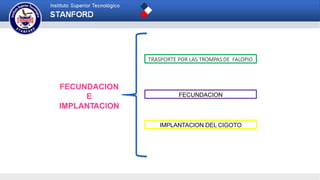 FECUNDACION
E
IMPLANTACION
TRASPORTE POR LAS TROMPAS DE FALOPIO
FECUNDACION
IMPLANTACION DEL CIGOTO
 