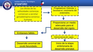 Las células de las
vellosidades corionicas
comienzan a secretar
gonadotropina corionica
humana.
Progesterona: Estimula y
favorece el crecimiento del
endometrio.
Proporciona un medio
adecuado para el
desarrollo del cigoto.
Sobrevivencia del cigoto.
Embarazo fallido.
Inicio de la etapa
embrionaria de
desarrollo prenatal.
Desarrollo anormal del
ovulo fecundado.
 