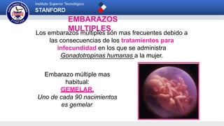 EMBARAZOS
MULTIPLES.
Los embarazos múltiples son mas frecuentes debido a
las consecuencias de los tratamientos para
infecundidad en los que se administra
Gonadotropinas humanas a la mujer.
Embarazo múltiple mas
habitual:
GEMELAR.
Uno de cada 90 nacimientos
es gemelar.
 