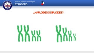 ¿HAPLOIDESODIPLOIDES?
 