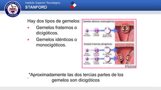 Hay dos tipos de gemelos:
 Gemelos fraternos o
dicigóticos.
 Gemelos idénticos o
monocigóticos.
.*Aproximadamente las dos tercias partes de los
gemelos son dicigóticos
 