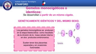 Gemelos monocigóticos o
identicos:
Se desarrollan a partir de un mismo cigoto.
GENÉTICAMENTE IDÉNTICOS Y DEL MISMO SEXO.
Los gemelos monocigóticos se producen
en la etapa blastocística como resultado
de la división de la masa celular interna
en dos productos embrionarios.
Suelen tener dos placentas
separadas y en ocasiones
fusionadas.
 