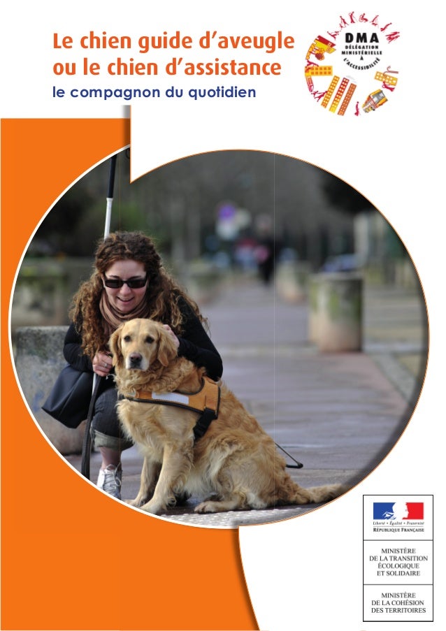Dma : le chien guide du0027aveugle ou le chien du0027assistance