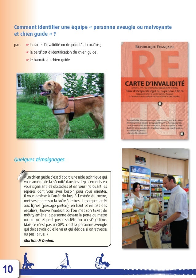 Dma Le Chien Guide D Aveugle Ou Le Chien D Assistance Dma Le Chien Guide D Aveugle Ou Le Chien D Assistance