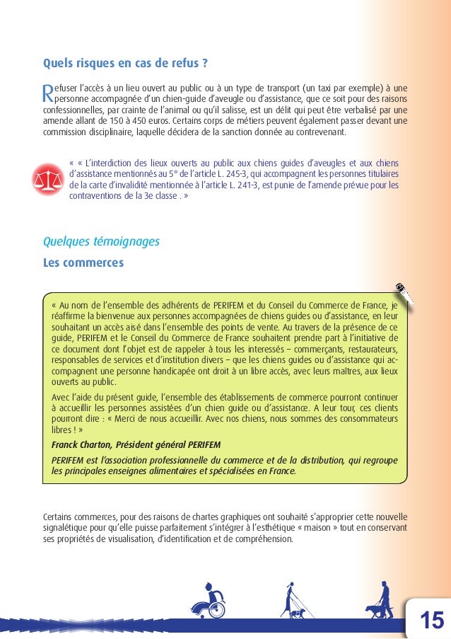 Dma Le Chien Guide D Aveugle Ou Le Chien D Assistance Dma Le Chien Guide D Aveugle Ou Le Chien D Assistance