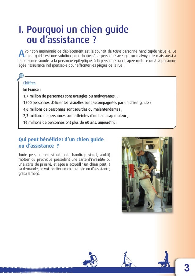 Dma Le Chien Guide D Aveugle Ou Le Chien D Assistance Dma Le Chien Guide D Aveugle Ou Le Chien D Assistance
