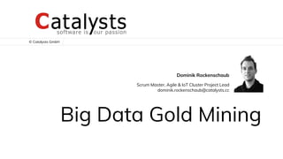 © Catalysts GmbH
Big Data Gold Mining
Dominik Rockenschaub
Scrum Master, Agile & IoT Cluster Project Lead
dominik.rockenschaub@catalysts.cc
 