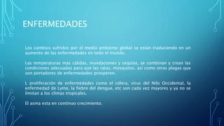 ENFERMEDADES
Los cambios sufridos por el medio ambiente global se están traduciendo en un
aumento de las enfermedades en todo el mundo.
Las temperaturas más cálidas, inundaciones y sequías, se combinan y crean las
condiciones adecuadas para que las ratas, mosquitos, así como otras plagas que
son portadores de enfermedades prosperen.
L proliferación de enfermedades como el cólera, virus del Nilo Occidental, la
enfermedad de Lyme, la fiebre del dengue, etc son cada vez mayores y ya no se
limitan a los climas tropicales.
El asma esta en continuo crecimiento.
 
