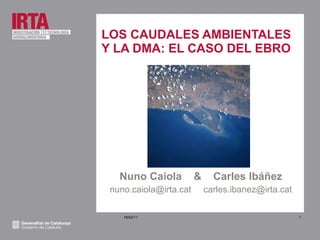 LOS CAUDALES AMBIENTALES Y LA DMA: EL CASO DEL EBRO ,[object Object],[object Object],16/02/11 