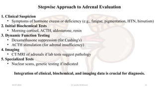 Adrenal Cortex Pathophysiology and Diagnostic Evaluation | PPTX