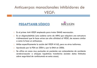 Anticuerpos monoclonales inhibidores de
VEGF:
PEGAPTANIB SPEGAPTANIB SÓÓDICODICO
Es el primer Anti-VEGF empleado para tratar DMAE neovascular.
Es un oligonucleótido (una cadena corta de ARN) que adquiere una estructura
tridimensional que le hace unirse con alta afinidad al VEGF, de manera similar
a como lo hace un anticuerpo.
Inhibe específicamente la acción del VEGF-A165, pero no otras isoformas.
Aprobado por la FDA en 2004 y por la EMA en 2006.
Se utiliza en casos muy puntuales en pacientes con antecedentes de accidente
cerebrovascular o ataques isquémicos transitorios (existen datos limitados
sobre seguridad de ranibizumab en estos casos).
 