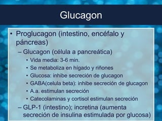 Glucagon
• Proglucagon (intestino, encéfalo y
  páncreas)
  – Glucagon (célula a pancreática)
     •   Vida media: 3-6 min.
     •   Se metaboliza en hígado y riñones
     •   Glucosa: inhibe secreción de glucagon
     •   GABA(celula beta): inhibe secreción de glucagon
     •   A.a. estimulan secreción
     •   Catecolaminas y cortisol estimulan secreción
  – GLP-1 (intestino); incretina (aumenta
    secreción de insulina estimulada por glucosa)
 