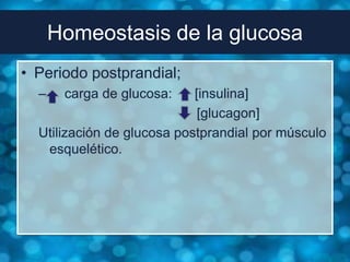 Homeostasis de la glucosa
• Periodo postprandial;
  –    carga de glucosa:    [insulina]
                             [glucagon]
  Utilización de glucosa postprandial por músculo
   esquelético.
 