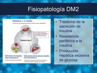 Fisiopatología DM2

         • Trastorno de la
           secreción de
           insulina
         • Resistencia
           periférica a la
           insulina
         • Producción
           hepática excesiva
           de glucosa
 