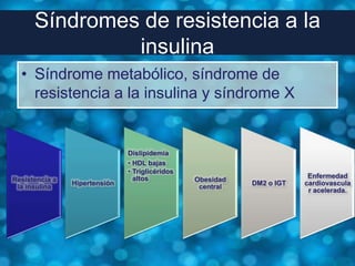Síndromes de resistencia a la
               insulina
  • Síndrome metabólico, síndrome de
    resistencia a la insulina y síndrome X


                               Dislipidemia
                               • HDL bajas
                               • Triglicéridos
                                 altos                                   Enfermedad
Resistencia a                                    Obesidad
                Hipertensión                                DM2 o IGT   cardiovascula
 la insulina                                      central
                                                                         r acelerada.
 