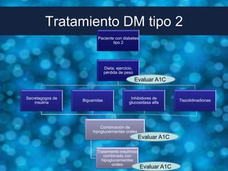 Tratamiento DM tipo 2
                         Paciente con diabetes
                                 tipo 2




                               Dieta, ejercicio,
                               pérdida de peso
                                                   Evaluar A1C


Secretagogos de                               Inhibidores de
                  Biguanidas                                      Tiazolidinadionas
    insulina                                 glucosidasa alfa




                           Combinación de
                       hipoglucemiantes orales
                                                    Evaluar A1C

                         Tratamiento insulínico
                            combinado con
                           hipoglucemiantes
                                orales
                                                    Evaluar A1C
 