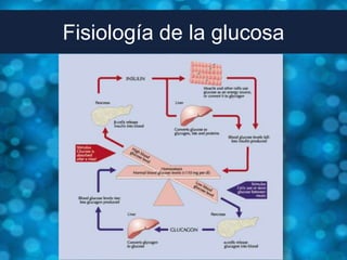 Fisiología de la glucosa
 
