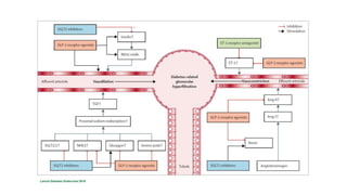 Lancet Diabetes Endocrinol 2018
 