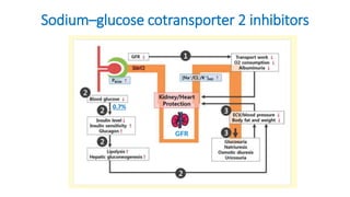 0.7%
Sodium–glucose cotransporter 2 inhibitors
 