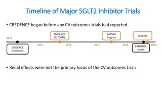 • CREDENCE began before any CV outcomes trials had reported
• Renal effects were not the primary focus of the CV outcomes trials
Timeline of Major SGLT2 Inhibitor Trials
2014
2015 2016 2017 2018 2019
CREDENCE
enrollment
CREDENCE
ended
DECLARE
EMPA-REG
OUTCOME
CANVAS
Program
 