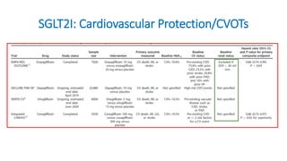 SGLT2I: Cardiovascular Protection/CVOTs
 