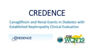 CREDENCE
Canagliflozin and Renal Events in Diabetes with
Established Nephropathy Clinical Evaluation
 