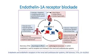 Endothelin-1A receptor blockade
Endothelin and endothelin receptors in the renal and cardiovascular systems, Life Sciences, V 91:,13–14,2012
 