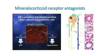 Mineralocorticoid receptor antagonists
 