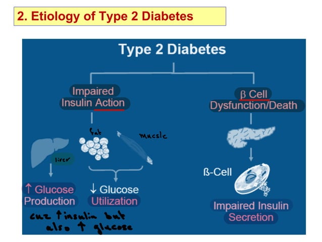 Endocrine pathology ( diabetes mellitus and thyroid gland ) | PPT
