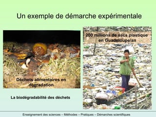 Enseignement des sciences – Méthodes – Pratiques – Démarches scientifiques Un exemple de démarche expérimentale La biodégradabilité des déchets 200 millions de sacs plastique  en Guadeloupe/an Déchets alimentaires en dégradation 