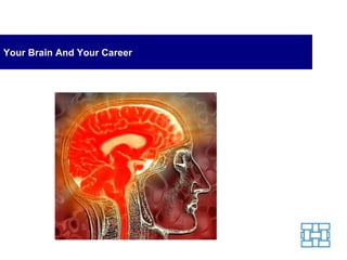 Your Brain And Your Career 