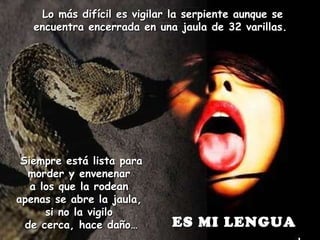 Lo más difícil es vigilar la serpiente aunque se encuentra encerrada en una jaula de 32 varillas.  Siempre está lista para morder y envenenar  a los que la rodean  apenas se abre la jaula,  si no la vigilo  de cerca, hace daño… ES MI LENGUA 