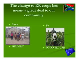 The change to RR crops has
 meant a great deal to our
       community

 From              To




 HUNGRY            FOOD SECURE
 