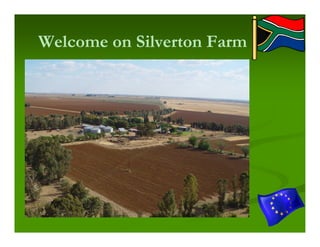 Welcome on Silverton Farm
 