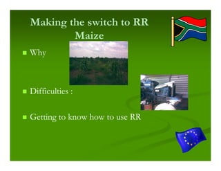 Making the switch to RR
        Maize
Why



Difficulties :

Getting to know how to use RR
 
