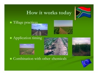 How it works today
Tillage practices


Application timing




Combination with other chemicals
 