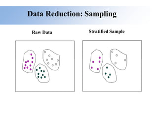 Data Reduction: Sampling
Raw Data Stratified Sample
 