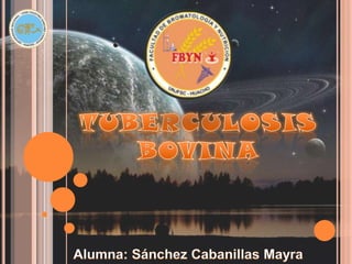 TUBERCULOSIS BOVINA,[object Object],Alumna: Sánchez Cabanillas Mayra,[object Object]