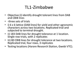 TL1-Zimbabwe
• Objective (i) identify drought tolerant lines from DAB
  and CBIB lines
• -three sets of trials
• i) 6 x 6 lattice (DAB lines) for yield and other agronomic
  characters across two locations. Replicated trial and
  subjected to terminal drought.
• ii) 183 DAB lines for drought tolerance at 1 location.
  Single row trials, with 2 replicates
• Iii) 80 CBIB lines for drought tolerance at two locations.
  Replicated trial, four rows, 3 replicates
• Testing locations (Harare Research Station, Gwebi VTC).
 