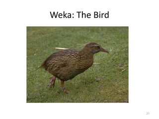 Data Mining and Business Intelligence Tools