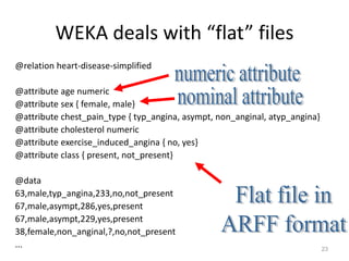 Data Mining and Business Intelligence Tools