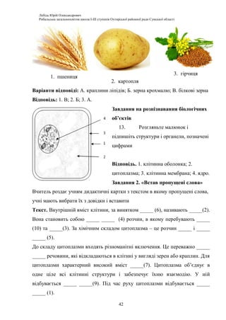 Лебідь Юрій Олександрович
Рибальська загальноосвітня школа І-ІІІ ступенів Охтирської районної ради Сумської області
42
1. пшениця
2. картопля
3. гірчиця
Варіанти відповіді: А. краплини ліпідів; Б. зерна крохмалю; В. білкові зерна
Відповідь: 1. В; 2. Б; 3. А.
Завдання на розпізнавання біологічних
об’єктів
13. Розгляньте малюнок і
підпишіть структури і органели, позначені
цифрами
Відповідь. 1. клітинна оболонка; 2.
цитоплазма; 3. клітинна мембрана; 4. ядро.
Завдання 2. «Встав пропущені слова»
Вчитель роздає учням дидактичні картки з текстом в якому пропущені слова,
учні мають вибрати їх з довідки і вставити
Текст. Внутрішній вміст клітини, за винятком _____ (6), називають _____(2).
Вона становить собою _____ _____ (4) розчин, в якому перебувають _____
(10) та _____(3). За хімічним складом цитоплазма – це розчин _____ і _____
_____ (5).
До складу цитоплазми входять різноманітні включення. Це переважно _____
_____ речовини, які відкладаються в клітині у вигляді зерен або краплин. Для
цитоплазми характерний високий вміст _____(7). Цитоплазма об’єднує в
одне ціле всі клітинні структури і забезпечує їхню взаємодію. У ній
відбувається _____ _____(9). Під час руху цитоплазми відбувається _____
_____ (1).
 